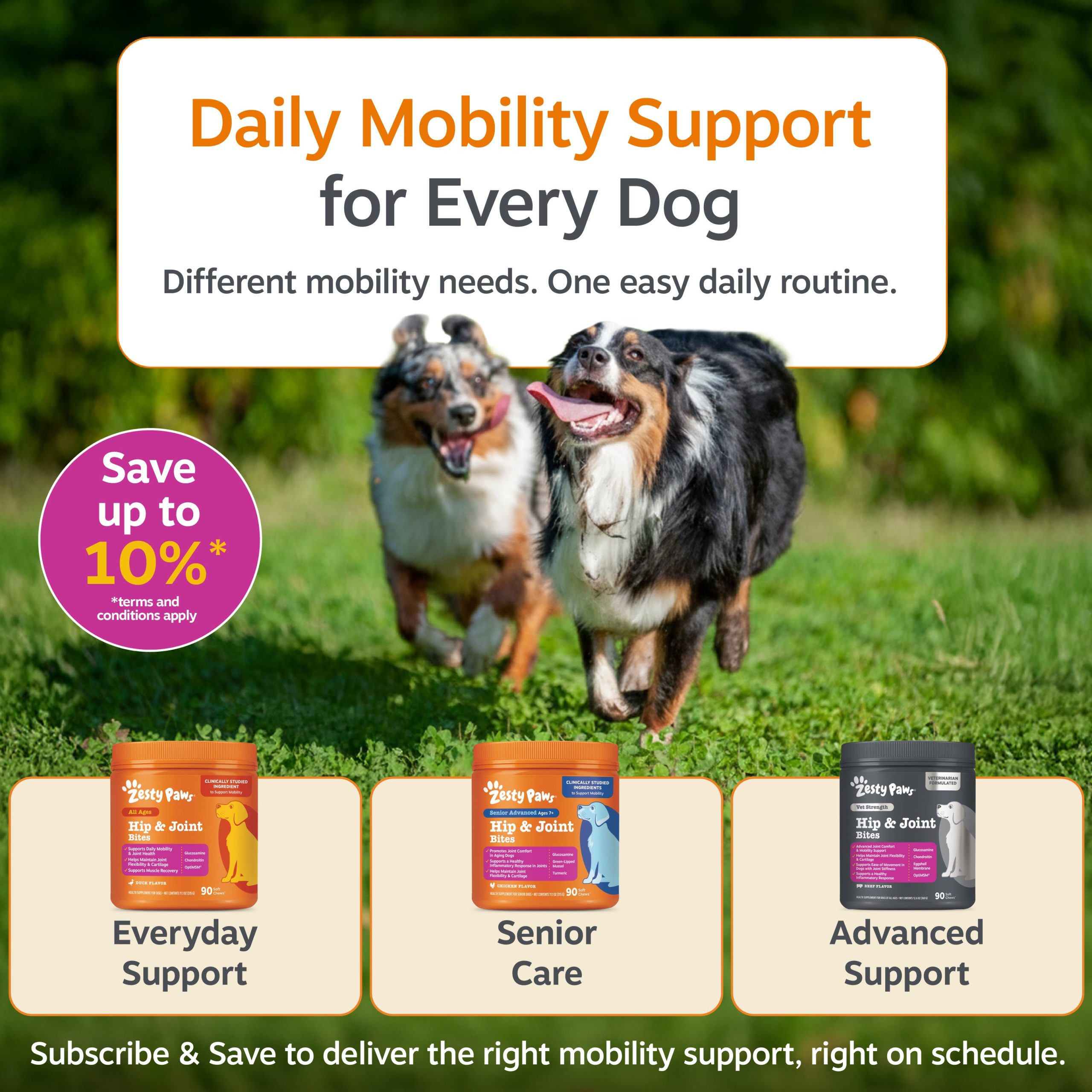 854880008744_AP_Dog_HipJoint_Bacon_90ct_v6ai_11_ZestyDifference.jpg