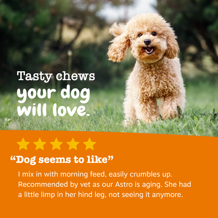 856521007109_ZP_Dog_Supplement_TurmericCurcumin_Bites_Duck_90ct_Review-900x900-c4cc11b.png