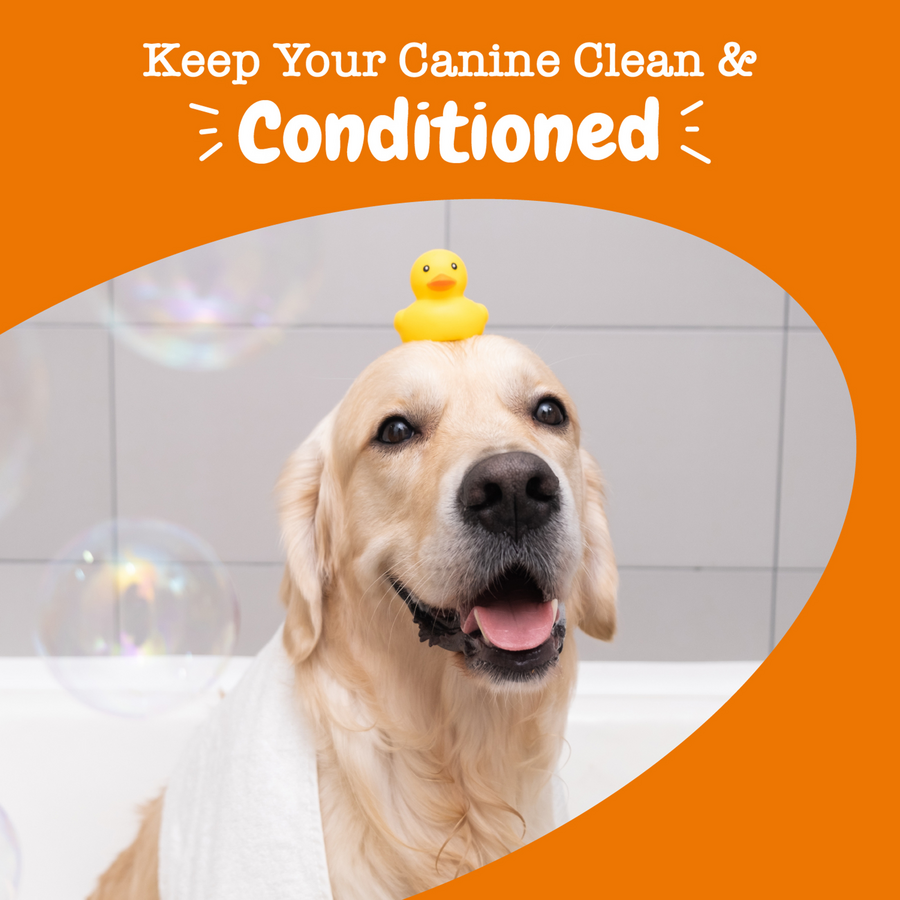 856521007376_ZP_Dog_Conditioner_ItchSoother_16oz_Lifestyle-900x900-c4cc11b.png