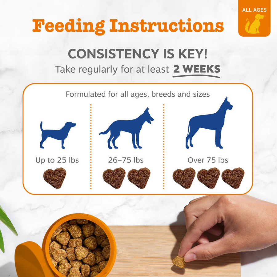 856521007505_ZP_Dog_Multi_Chicken_90-30-60-70-250ct_4_Feeding-900x900-c4cc11b_22479381-cc2e-4fb0-95e4-6a0cd182b4b5.png
