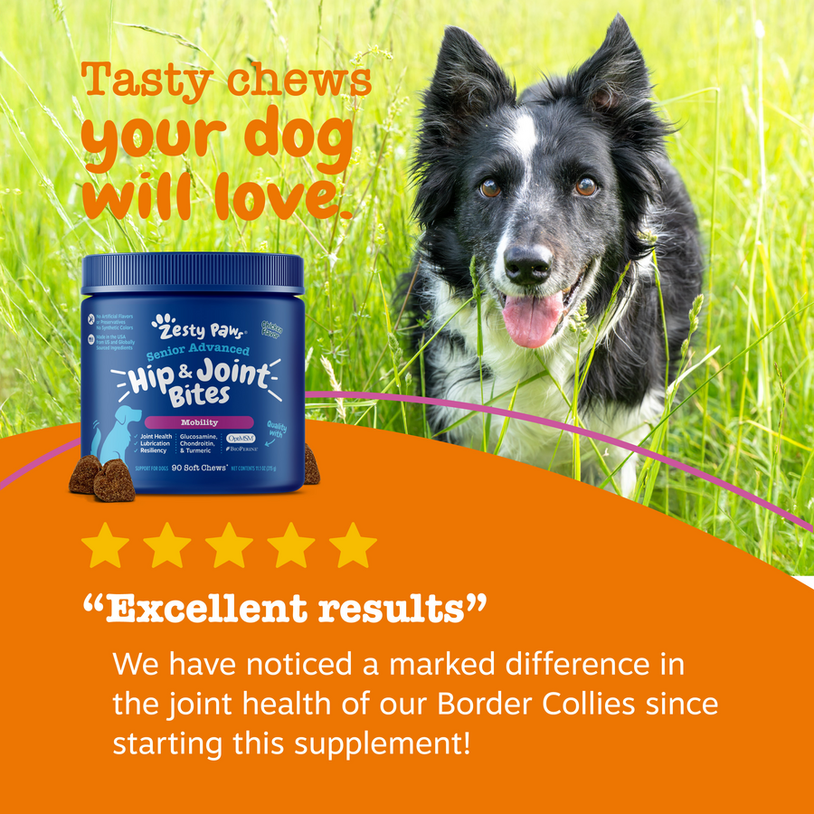 856521007833_ZP_Dog_Supplements_SrAdvHipJoint_Bites_Chicken_90ct_Review-900x900-c4cc11b.png