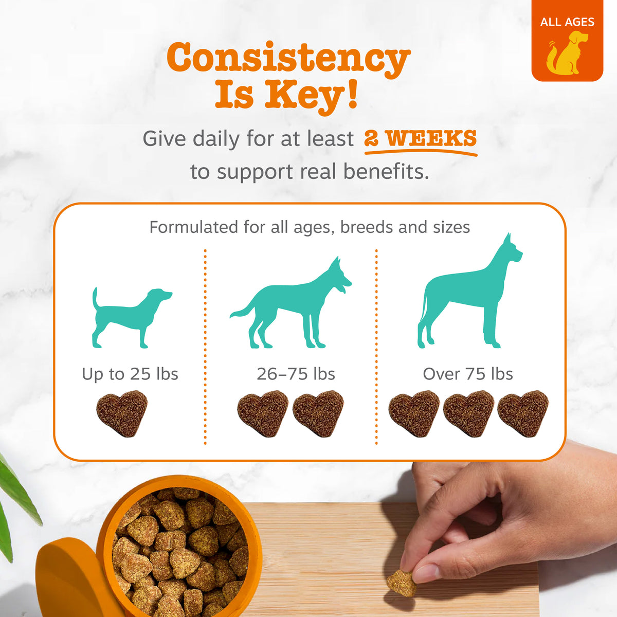 856521007871_ZP_Dog_AdvCalming_Turkey-90ct_4_Feeding-1200x1200-bd93c0f.jpg
