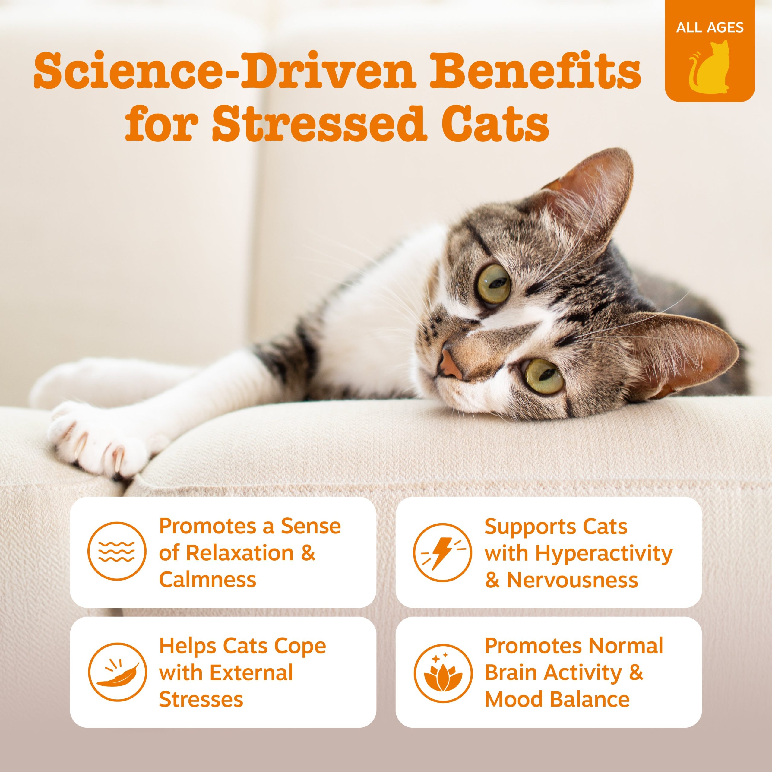 API_3.0_Cat_Calming_Bacon_30-60ct_2_Features.jpg