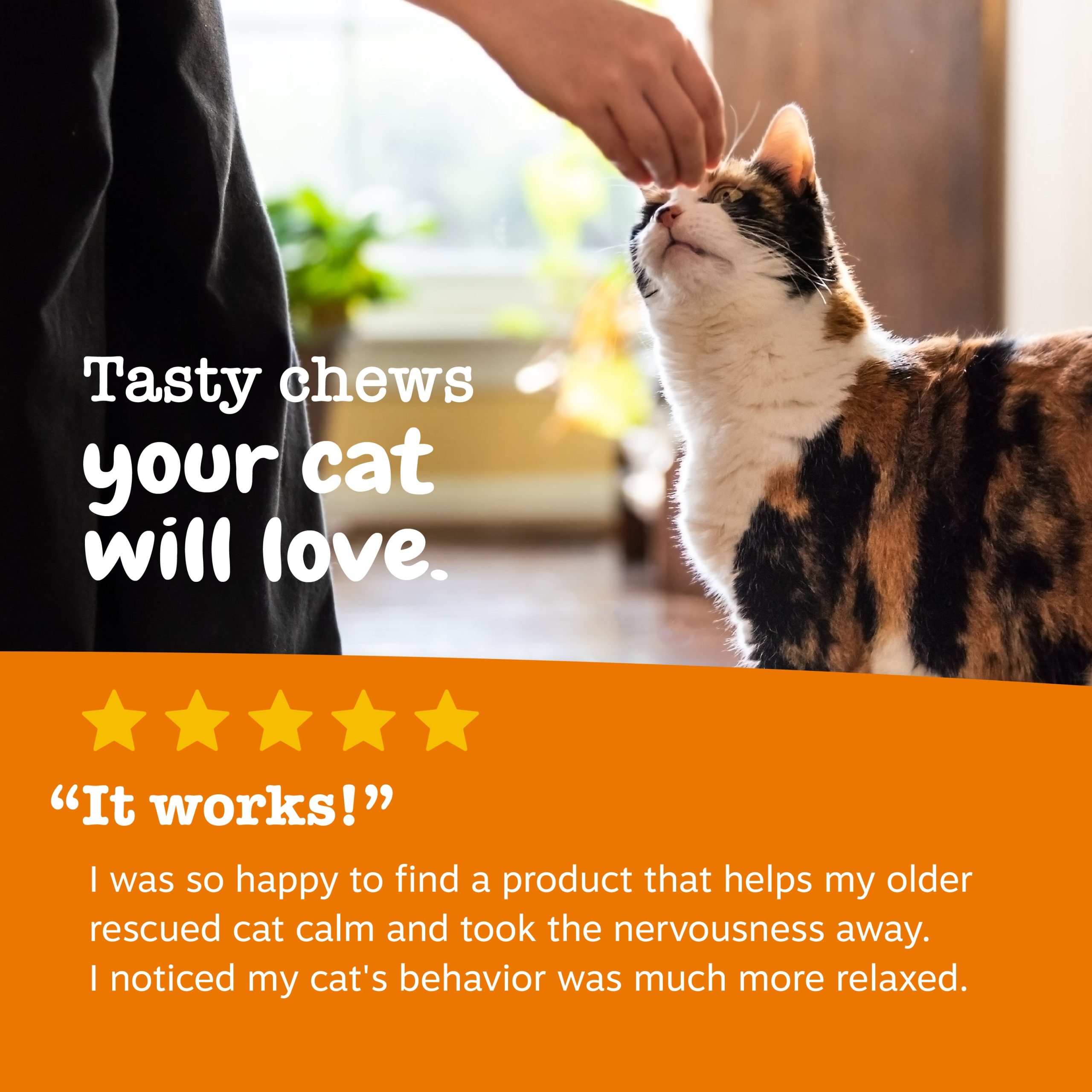 API_3.0_Cat_Calming_Bacon_30-60ct_6_Review.jpg