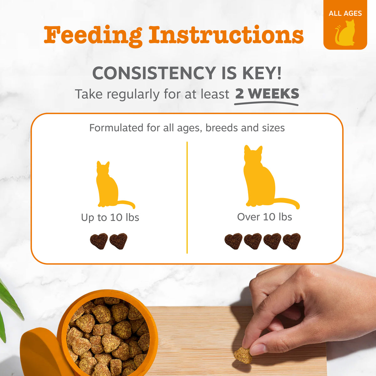 API_3.0_Cat_Generic_4_Feeding-1200x1200-bd93c0f.jpg