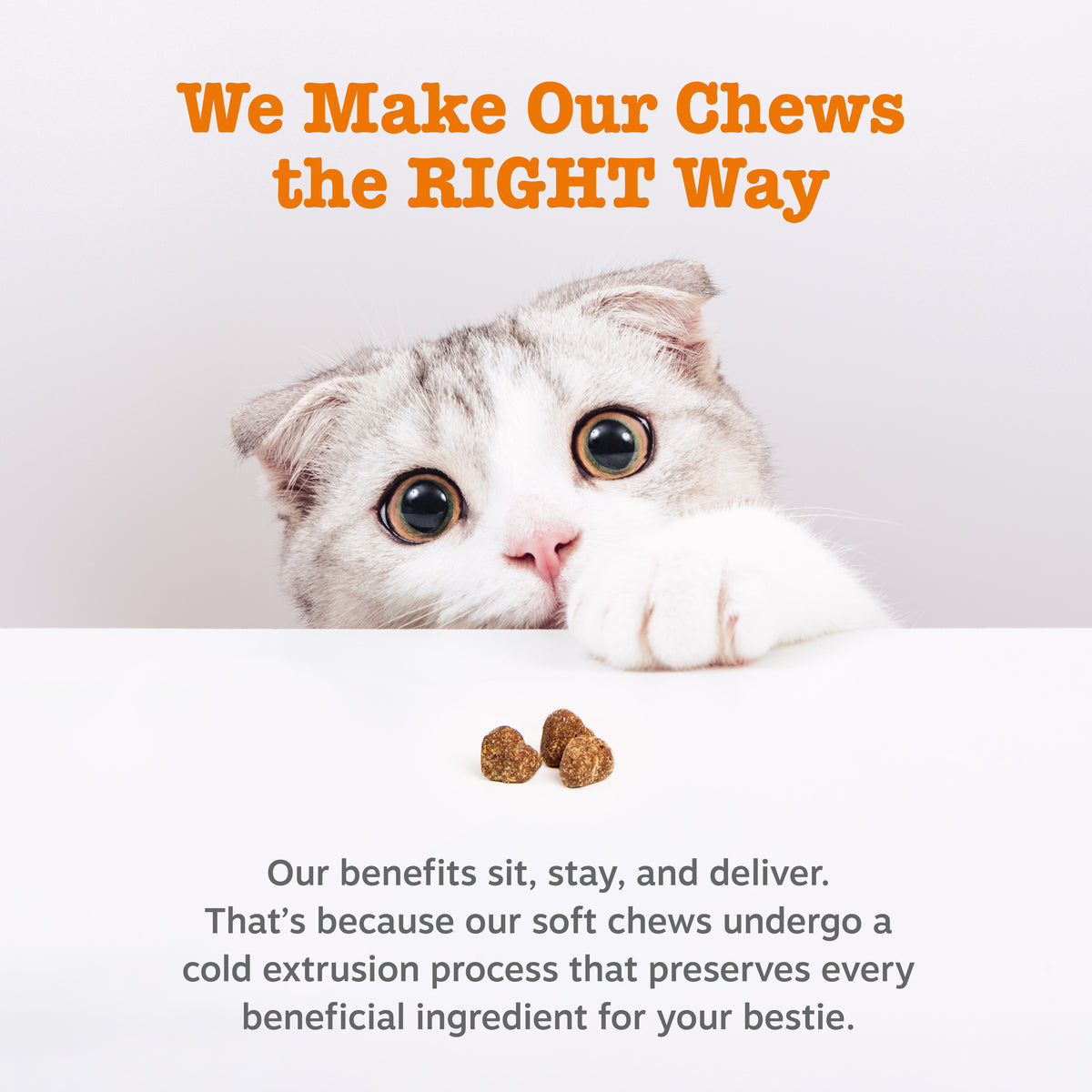 API_3.0_Cat_Generic_7_ColdPressed-1200x1200-bd93c0f.jpg