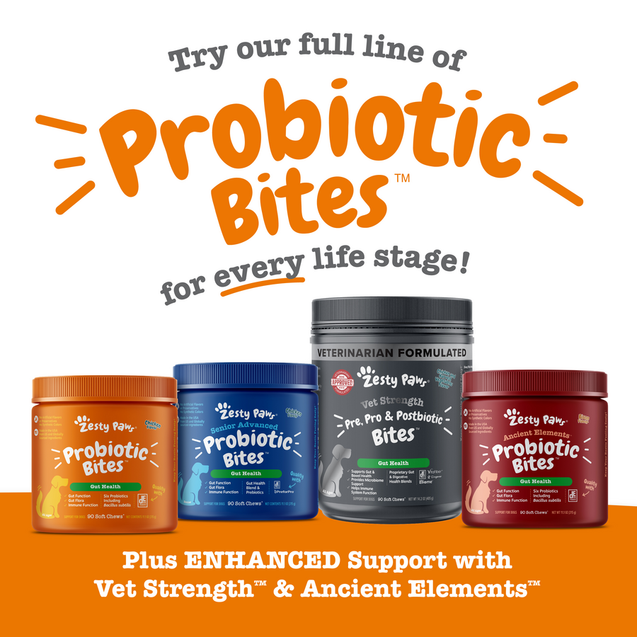 API_3.0_ProbioticPuppy_Pumpkin_90ct_9_CrossSell-900x900-c4cc11b.png