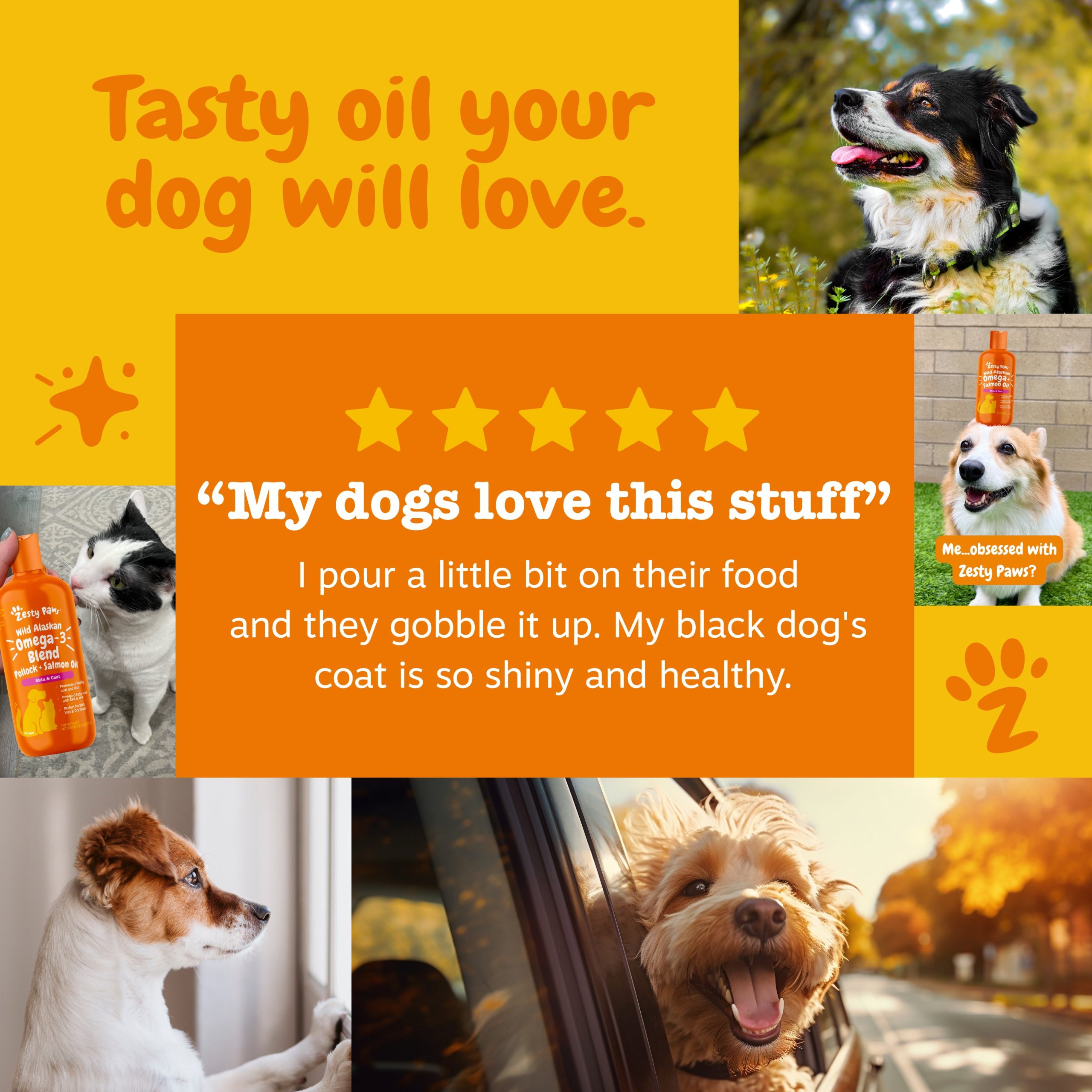 API_3.0_SalmonOil-8-16-32oz_6_Review.jpg