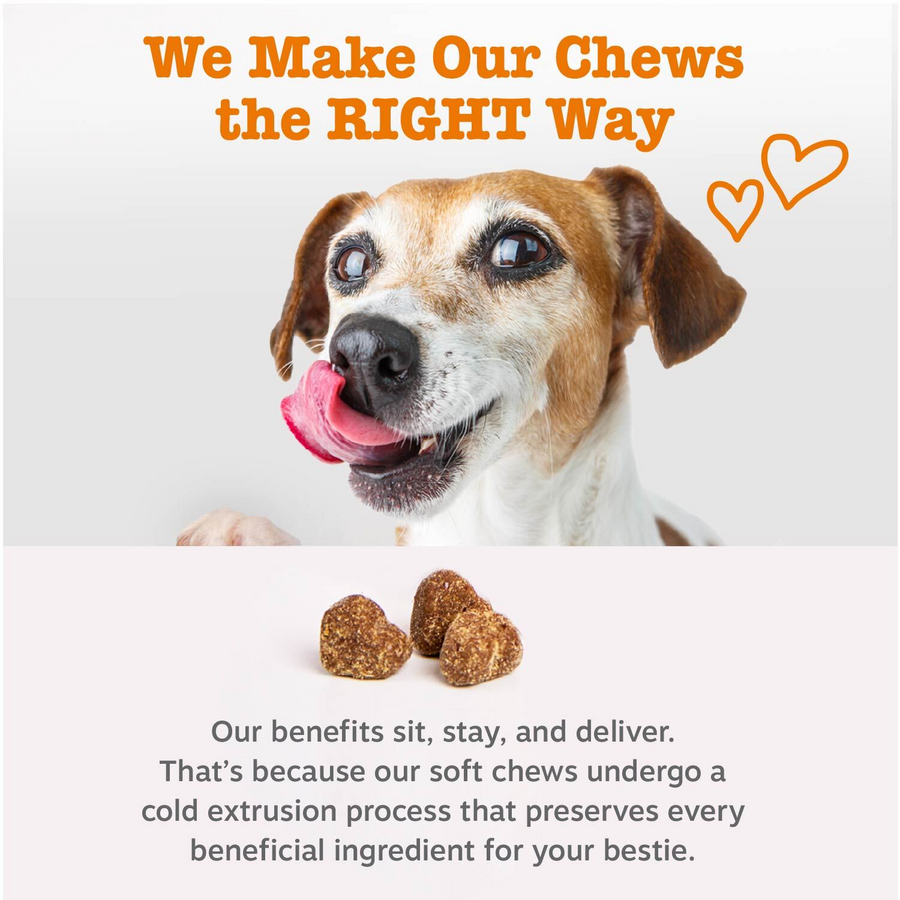 API_GenericDog_7_ColdPressed-900x900-c4cc11b_8f429b1d-4873-410f-b424-9e70c270b72d.png