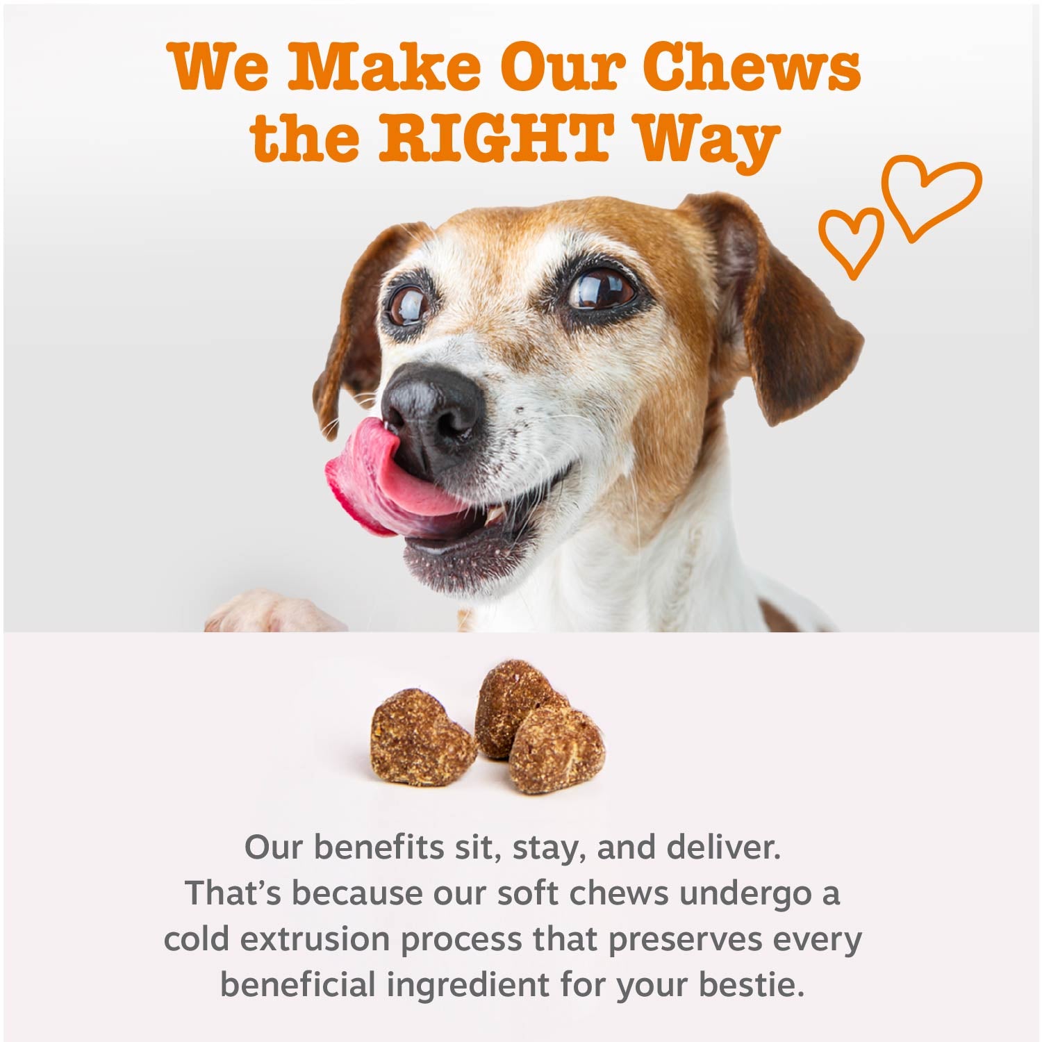 API_Generic_Dog_7_ColdPressed.jpg