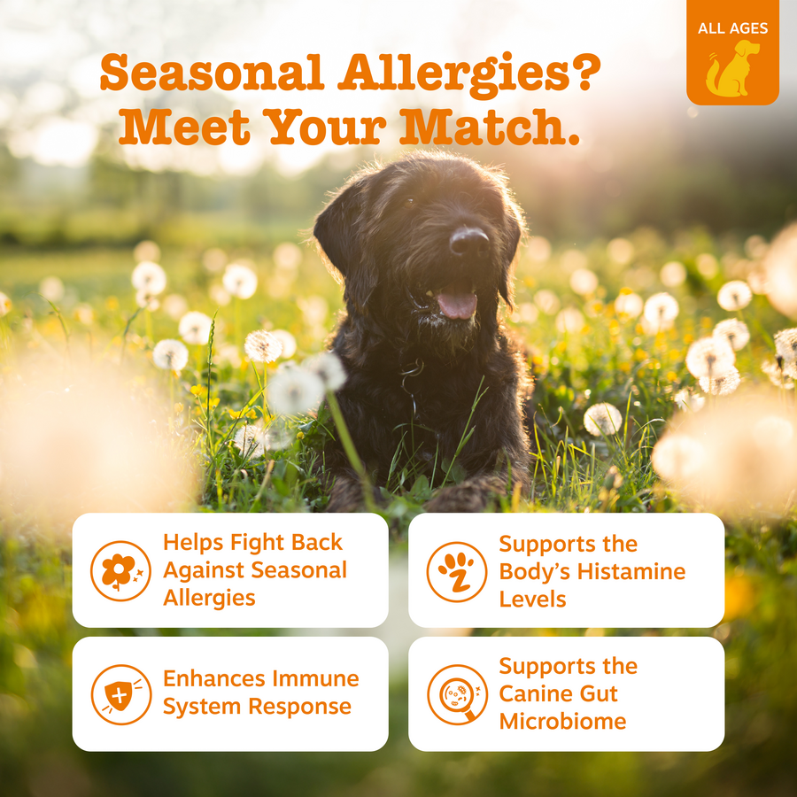 AllergyImmune_Generic_Features-900x900-c4cc11b.png