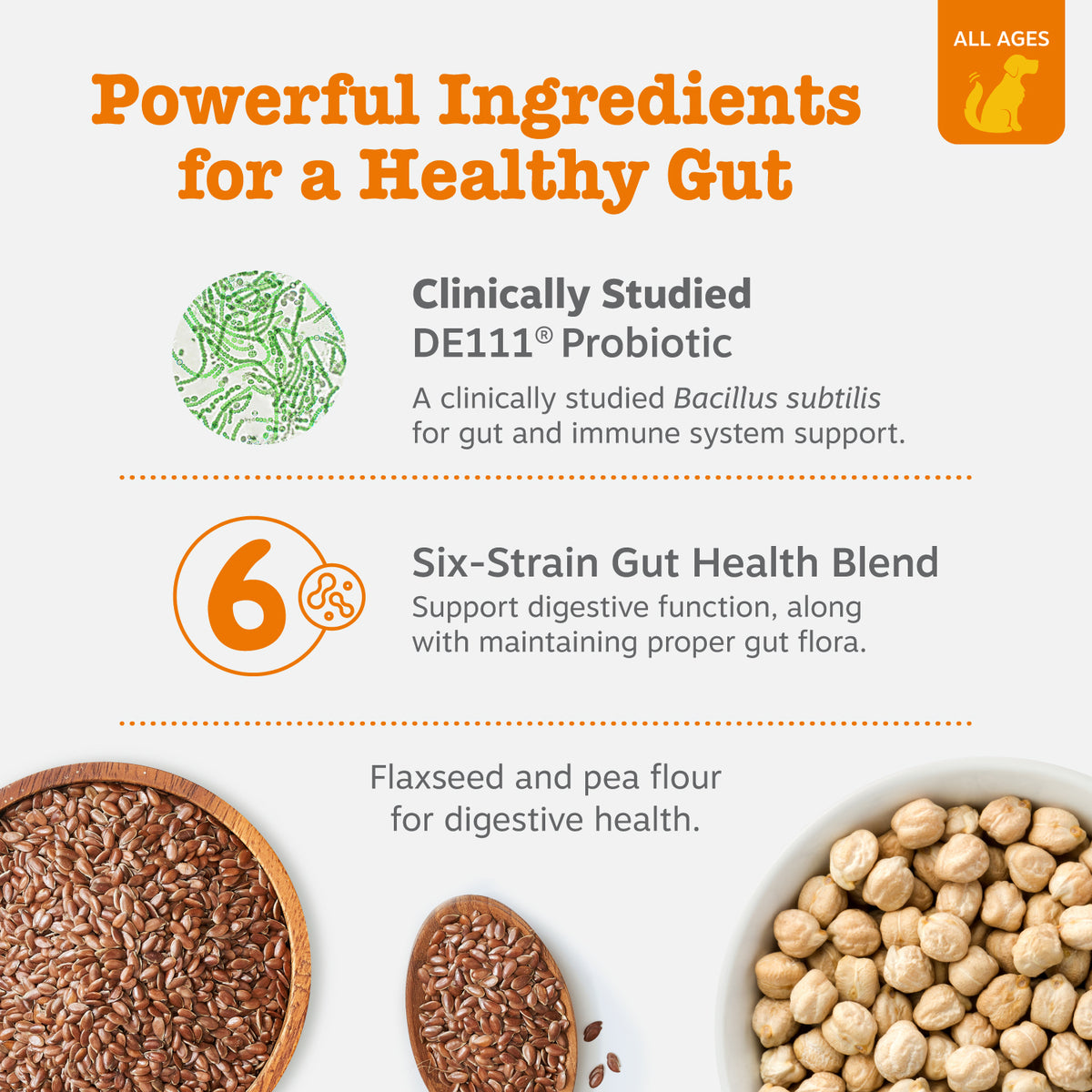 Probiotic_Pumpkin_APIs_2024_3_Ingredients-1200x1200-bd93c0f.jpg