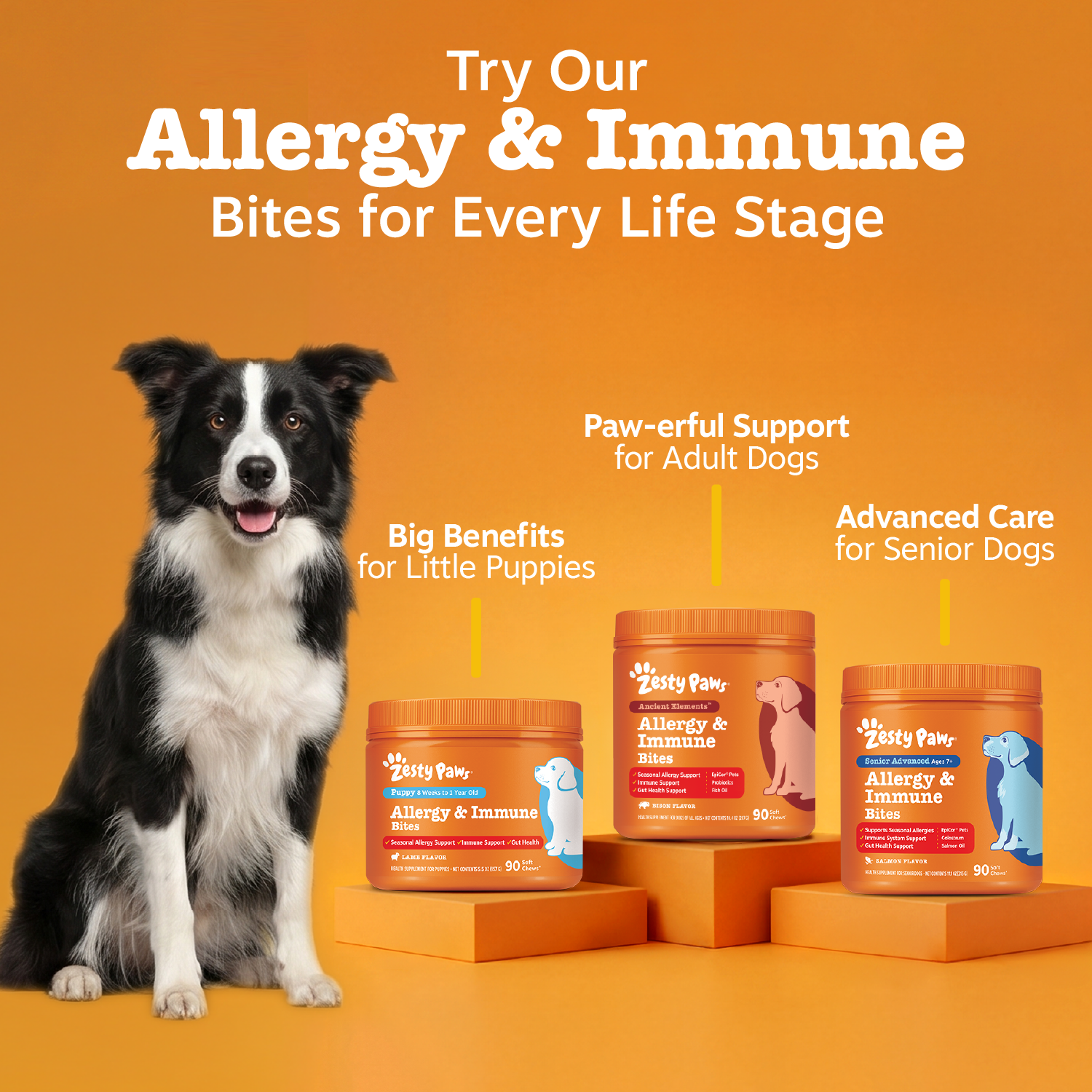 ZP_810030590347_AllergyBitesAE_90ct_API_v1_11_CrossSell.png