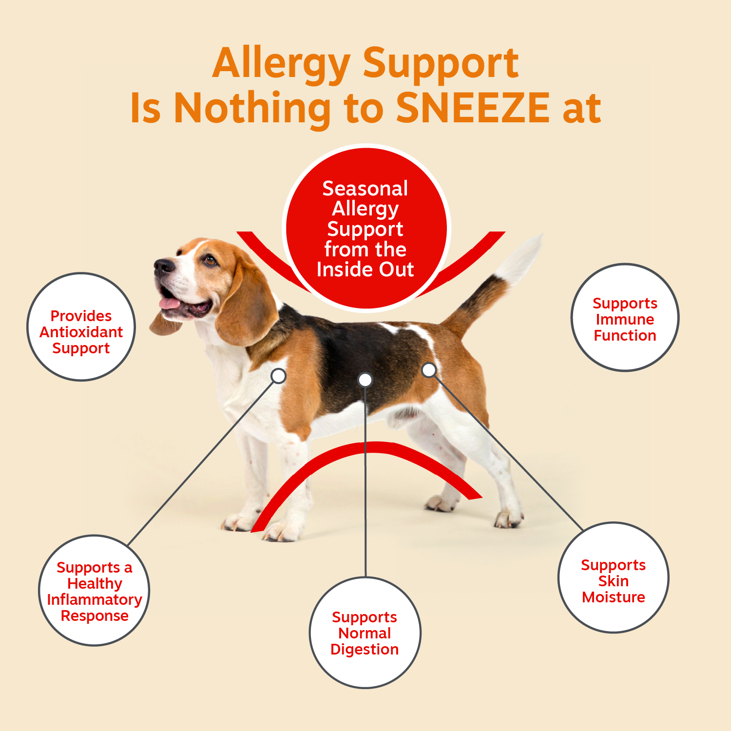 ZP_810030590347_AllergyBitesAE_90ct_API_v1_Benefits.png